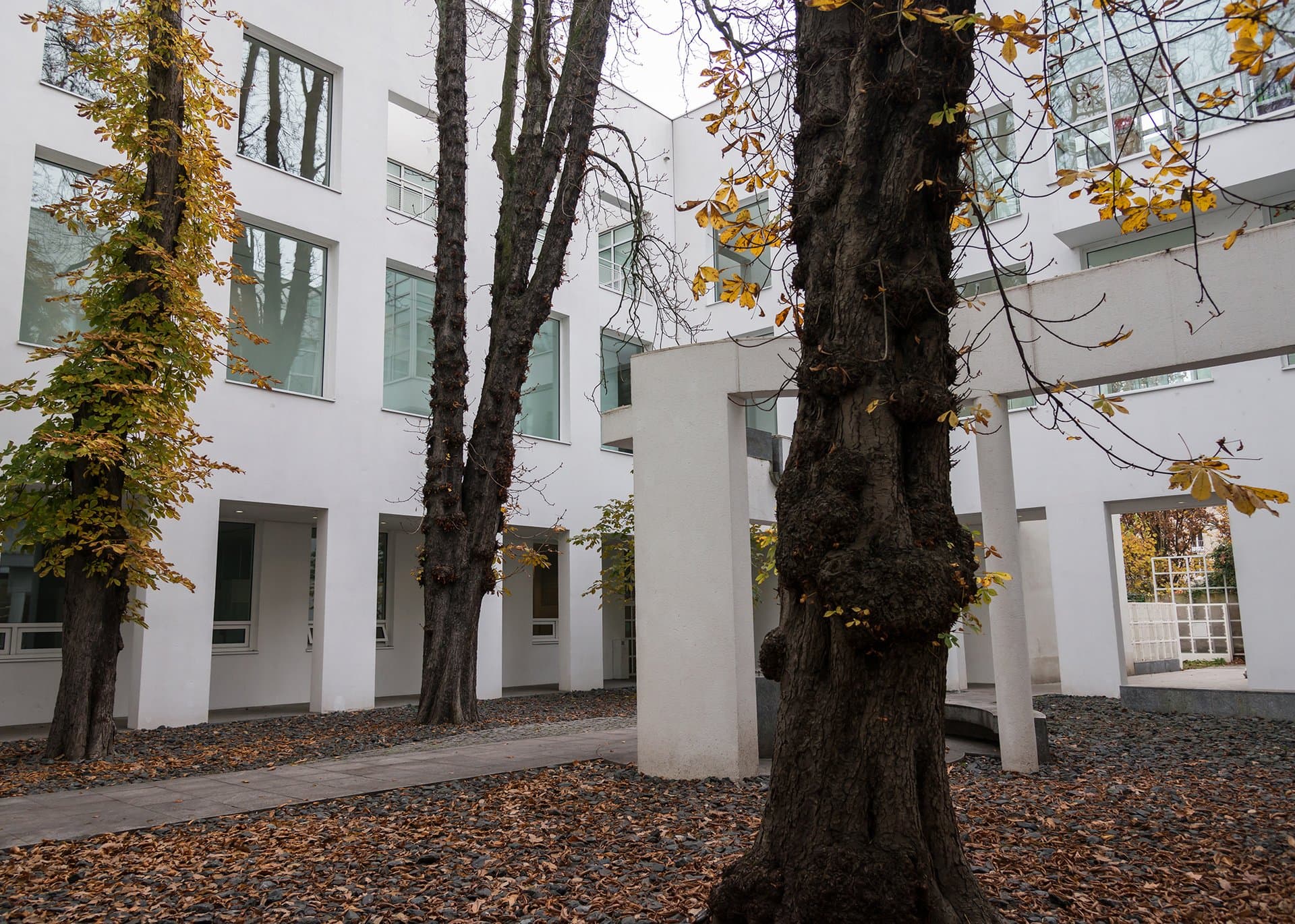 Bild 1_(c)Renate Schildheuer