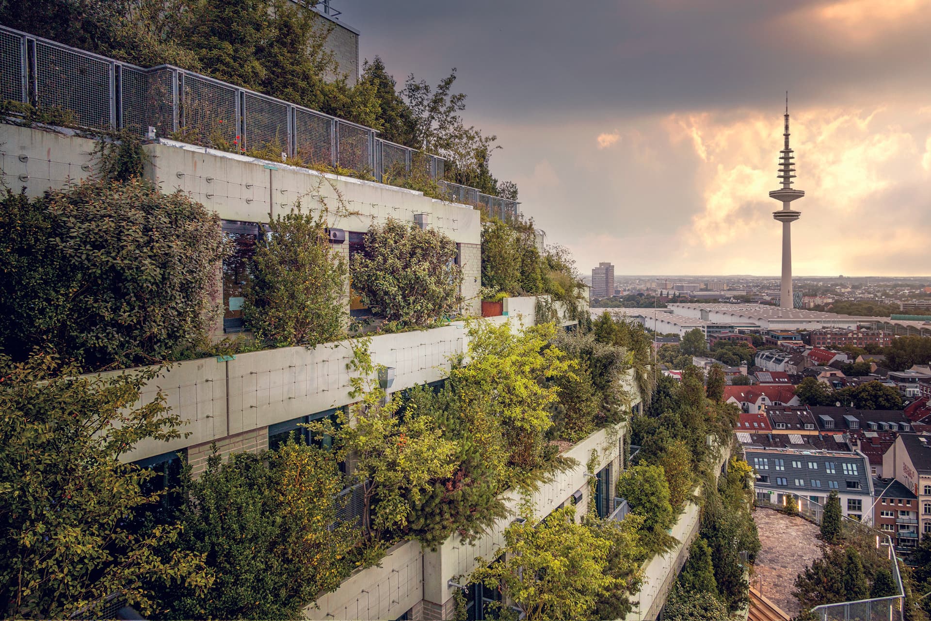 Ikonen der Umnutzung und Technik: der begrünte Hochbunker und der Fernsehturm im goldenen Schein der Dämmerung (© HMG HamburgViews)